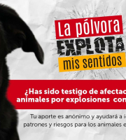Indagación de percepción ciudadana alerta por afectaciones en animales por uso de pólvora en Bogotá durante la “noche de las velitas”